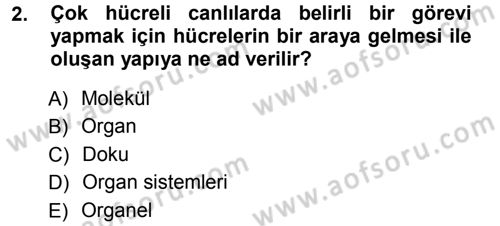 Okulöncesinde Fen Eğitimi Dersi Ara Sınavı Deneme Sınav Soruları 2. Soru