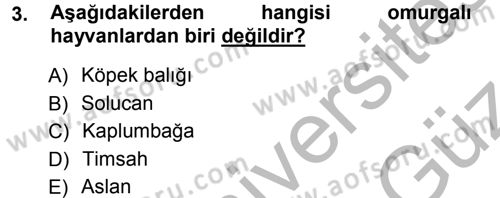 Okulöncesinde Fen Eğitimi Dersi Ara Sınavı Deneme Sınav Soruları 3. Soru