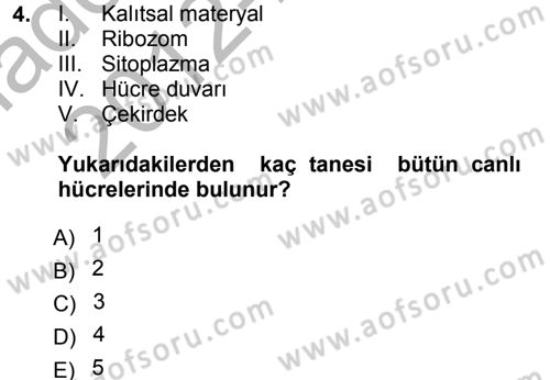 Okulöncesinde Fen Eğitimi Dersi Ara Sınavı Deneme Sınav Soruları 4. Soru