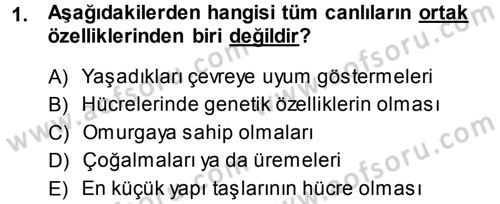 Okulöncesinde Fen Eğitimi Dersi Ara Sınavı Deneme Sınav Soruları 1. Soru