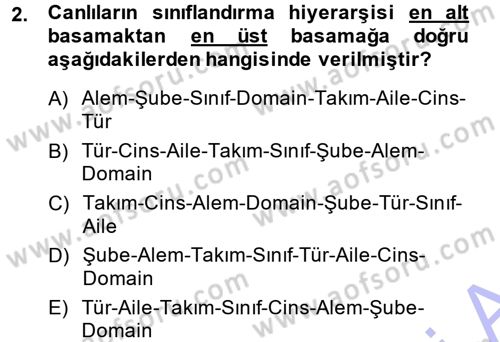 Okulöncesinde Fen Eğitimi Dersi Ara Sınavı Deneme Sınav Soruları 2. Soru