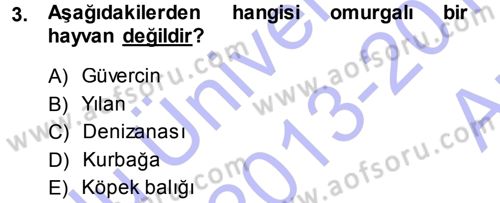 Okulöncesinde Fen Eğitimi Dersi Ara Sınavı Deneme Sınav Soruları 3. Soru