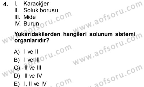 Okulöncesinde Fen Eğitimi Dersi 2013 - 2014 Yılı (Vize) Ara Sınav Soruları 4. Soru