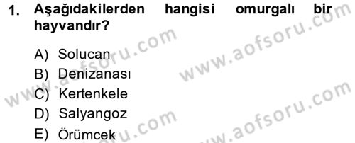 Okulöncesinde Fen Eğitimi Dersi 2013 - 2014 Yılı (Final) Dönem Sonu Sınav Soruları 1. Soru