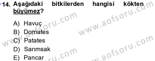 Okulöncesinde Fen Eğitimi Dersi 2013 - 2014 Yılı (Final) Dönem Sonu Sınav Soruları 14. Soru