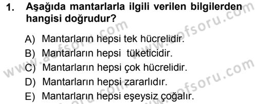 Okulöncesinde Fen Eğitimi Dersi 2013 - 2014 Yılı Tek Ders Sınav Soruları 1. Soru