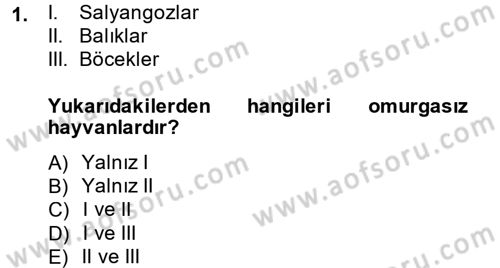 Okulöncesinde Fen Eğitimi Dersi 2014 - 2015 Yılı (Vize) Ara Sınavı 1. Soru