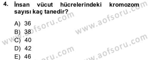 Okulöncesinde Fen Eğitimi Dersi 2014 - 2015 Yılı (Vize) Ara Sınavı 4. Soru
