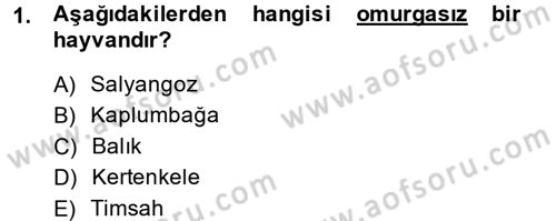 Okulöncesinde Fen Eğitimi Dersi 2014 - 2015 Yılı (Final) Dönem Sonu Sınav Soruları 1. Soru