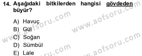Okulöncesinde Fen Eğitimi Dersi 2014 - 2015 Yılı (Final) Dönem Sonu Sınav Soruları 14. Soru