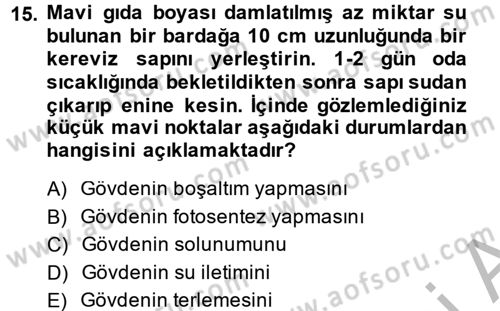 Okulöncesinde Fen Eğitimi Dersi 2014 - 2015 Yılı (Final) Dönem Sonu Sınav Soruları 15. Soru