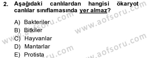 Okulöncesinde Fen Eğitimi Dersi 2014 - 2015 Yılı (Final) Dönem Sonu Sınav Soruları 2. Soru