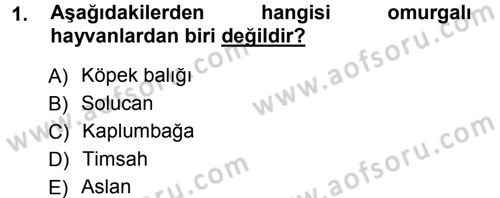 Okulöncesinde Fen Eğitimi Dersi 2014 - 2015 Yılı Tek Ders Sınav Soruları 1. Soru