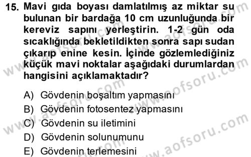 Okulöncesinde Fen Eğitimi Dersi 2014 - 2015 Yılı Tek Ders Sınav Soruları 15. Soru