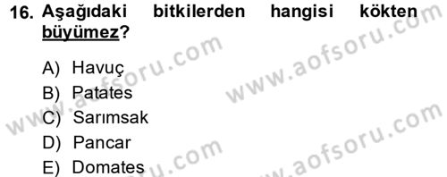 Okulöncesinde Fen Eğitimi Dersi 2014 - 2015 Yılı Tek Ders Sınav Soruları 16. Soru