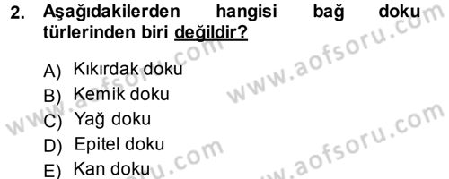 Okulöncesinde Fen Eğitimi Dersi 2014 - 2015 Yılı Tek Ders Sınav Soruları 2. Soru