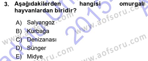 Okulöncesinde Fen Eğitimi Dersi 2015 - 2016 Yılı (Vize) Ara Sınavı 3. Soru