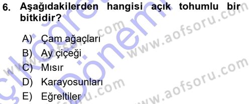 Okulöncesinde Fen Eğitimi Dersi 2015 - 2016 Yılı (Vize) Ara Sınavı 6. Soru