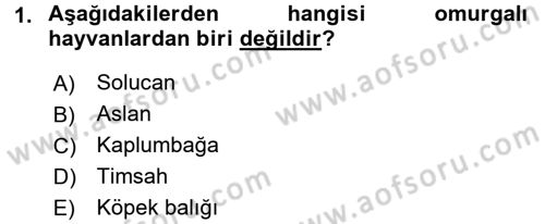 Okulöncesinde Fen Eğitimi Dersi 2015 - 2016 Yılı Tek Ders Sınav Soruları 1. Soru