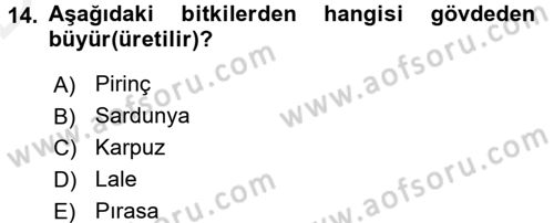 Okulöncesinde Fen Eğitimi Dersi 2015 - 2016 Yılı Tek Ders Sınav Soruları 14. Soru