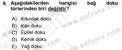 Okulöncesinde Fen Eğitimi Dersi 2015 - 2016 Yılı Tek Ders Sınav Soruları 6. Soru