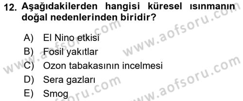 Okulöncesinde Fen Eğitimi Dersi Ara Sınavı Deneme Sınav Soruları 12. Soru