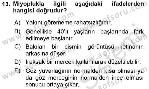 Okulöncesinde Fen Eğitimi Dersi Ara Sınavı Deneme Sınav Soruları 13. Soru