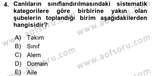 Okulöncesinde Fen Eğitimi Dersi Ara Sınavı Deneme Sınav Soruları 4. Soru