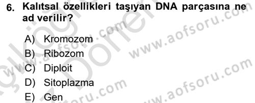 Okulöncesinde Fen Eğitimi Dersi Ara Sınavı Deneme Sınav Soruları 6. Soru