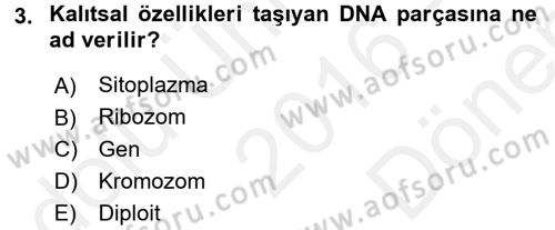 Okulöncesinde Fen Eğitimi Dersi 2016 - 2017 Yılı (Final) Dönem Sonu Sınavı 3. Soru