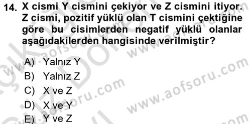 Okulöncesinde Fen Eğitimi Dersi Ara Sınavı Deneme Sınav Soruları 14. Soru
