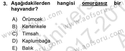 Okulöncesinde Fen Eğitimi Dersi Ara Sınavı Deneme Sınav Soruları 3. Soru