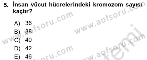 Okulöncesinde Fen Eğitimi Dersi Ara Sınavı Deneme Sınav Soruları 5. Soru