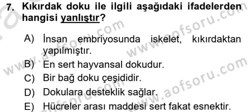 Okulöncesinde Fen Eğitimi Dersi Ara Sınavı Deneme Sınav Soruları 7. Soru
