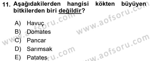 Okulöncesinde Fen Eğitimi Dersi 2017 - 2018 Yılı (Final) Dönem Sonu Sınav Soruları 11. Soru