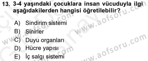 Okulöncesinde Fen Eğitimi Dersi 2017 - 2018 Yılı (Final) Dönem Sonu Sınav Soruları 13. Soru
