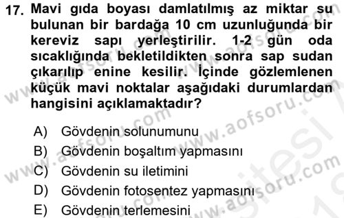 Okulöncesinde Fen Eğitimi Dersi 2017 - 2018 Yılı (Final) Dönem Sonu Sınav Soruları 17. Soru
