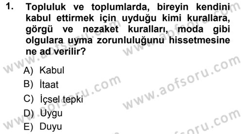 Okulöncesinde Yaratıcılık Dersi Ara Sınavı Deneme Sınav Soruları 1. Soru