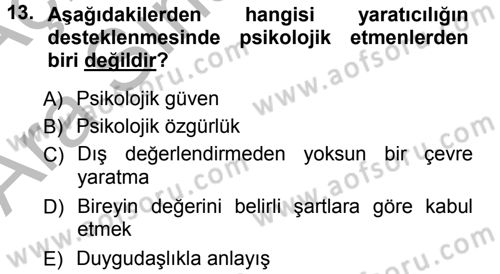 Okulöncesinde Yaratıcılık Dersi Ara Sınavı Deneme Sınav Soruları 13. Soru