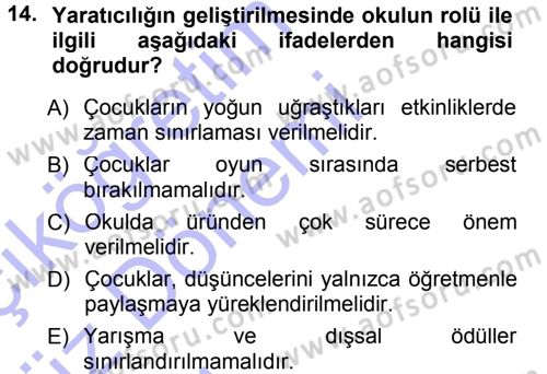 Okulöncesinde Yaratıcılık Dersi Ara Sınavı Deneme Sınav Soruları 14. Soru