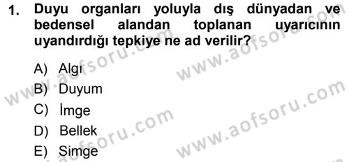 Okulöncesinde Yaratıcılık Dersi 2014 - 2015 Yılı (Final) Dönem Sonu Sınav Soruları 1. Soru
