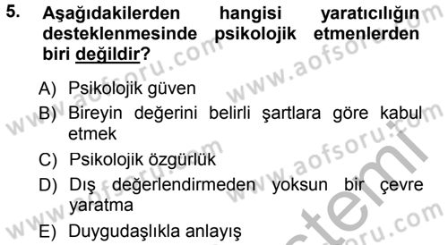 Okulöncesinde Yaratıcılık Dersi 2014 - 2015 Yılı (Final) Dönem Sonu Sınav Soruları 5. Soru