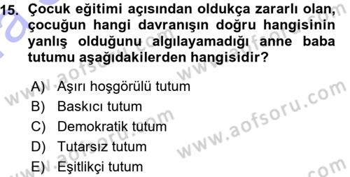 Okulöncesinde Yaratıcılık Dersi Ara Sınavı Deneme Sınav Soruları 15. Soru