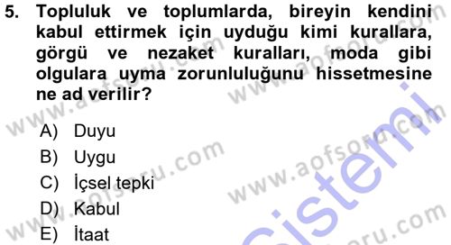 Okulöncesinde Yaratıcılık Dersi Ara Sınavı Deneme Sınav Soruları 5. Soru