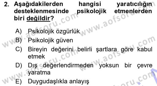 Okulöncesinde Yaratıcılık Dersi 2015 - 2016 Yılı (Final) Dönem Sonu Sınav Soruları 2. Soru