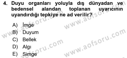 Okulöncesinde Yaratıcılık Dersi 2015 - 2016 Yılı (Final) Dönem Sonu Sınav Soruları 4. Soru