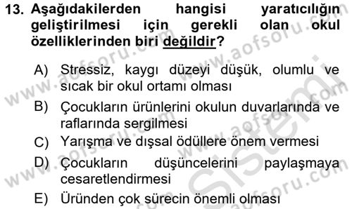 Okulöncesinde Yaratıcılık Dersi Ara Sınavı Deneme Sınav Soruları 13. Soru