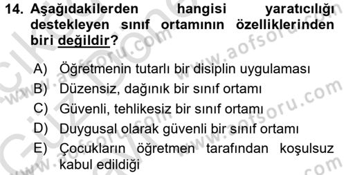 Okulöncesinde Yaratıcılık Dersi Ara Sınavı Deneme Sınav Soruları 14. Soru