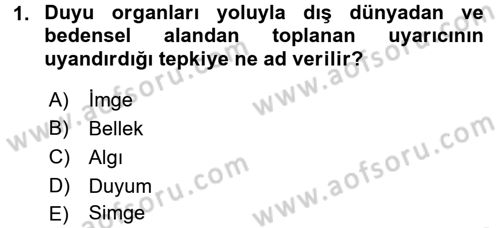 Okulöncesinde Yaratıcılık Dersi 2016 - 2017 Yılı (Final) Dönem Sonu Sınavı 1. Soru