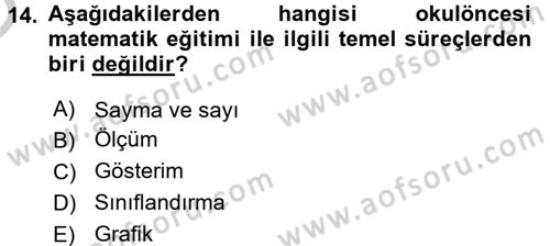 Okulöncesinde Drama Dersi 2016 - 2017 Yılı 3 Ders Sınav Soruları 14. Soru